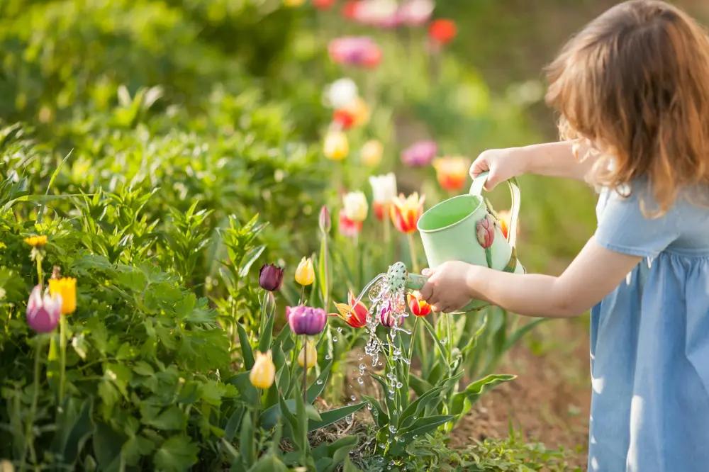 Frühling